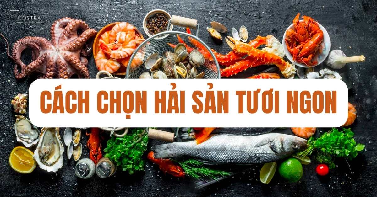 chọn hải sản tươi ngon