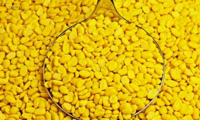 Đậu xanh đã bỏ vỏ là nguyên liệu làm nhân bánh rán vừng