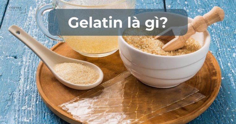Gelatin là gì