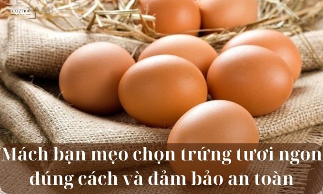 mẹo chọn trứng